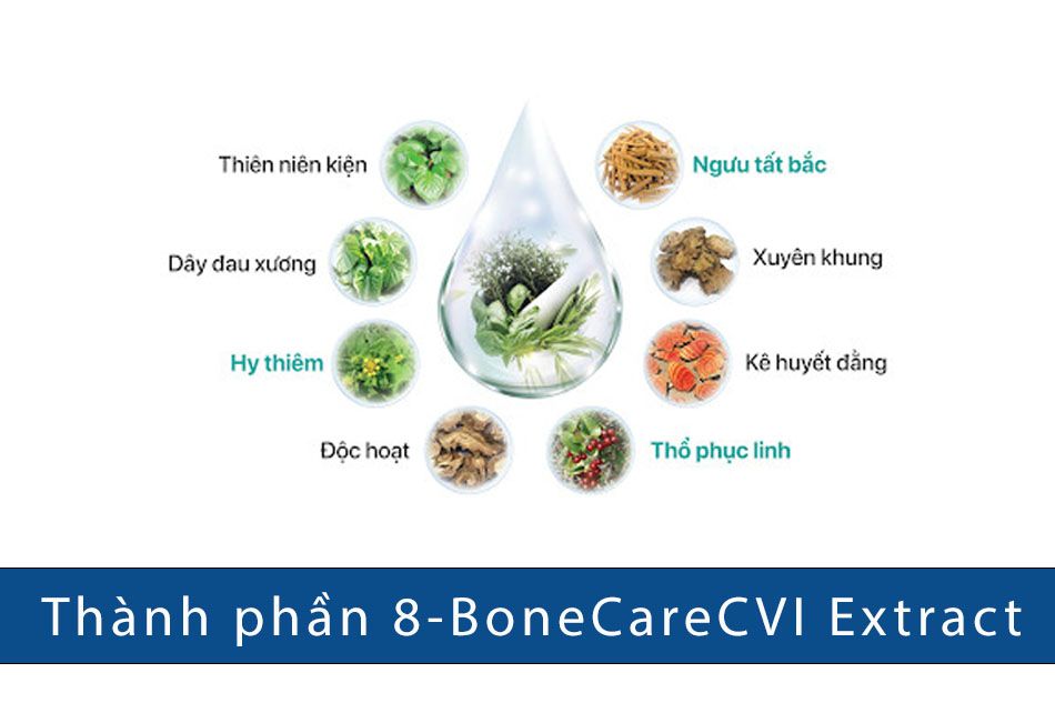 8-BoneCareCVI Extract được bảo hộ độc quyền bởi CVI Pharma